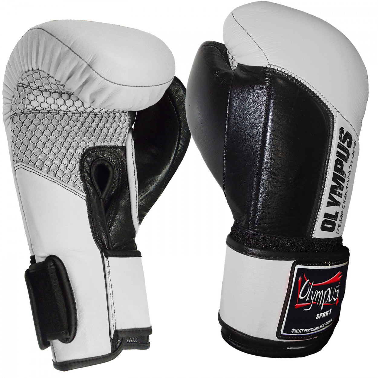 Boxing Gloves Olympus DX150 Performance Leather