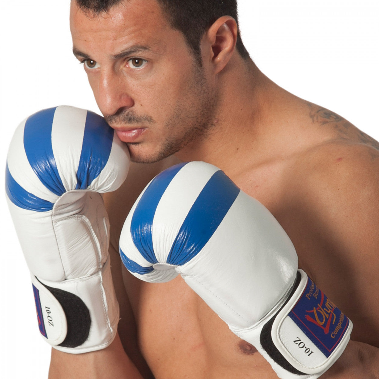 Boxing Gloves Leather 10oz Greek Flag.