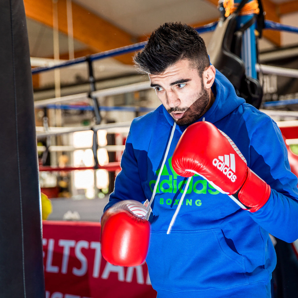 adidas WAKO Kickboxing Gloves 