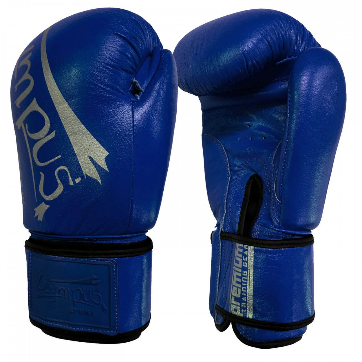 Boxing Gloves Olympus TRAINING IV Leather 