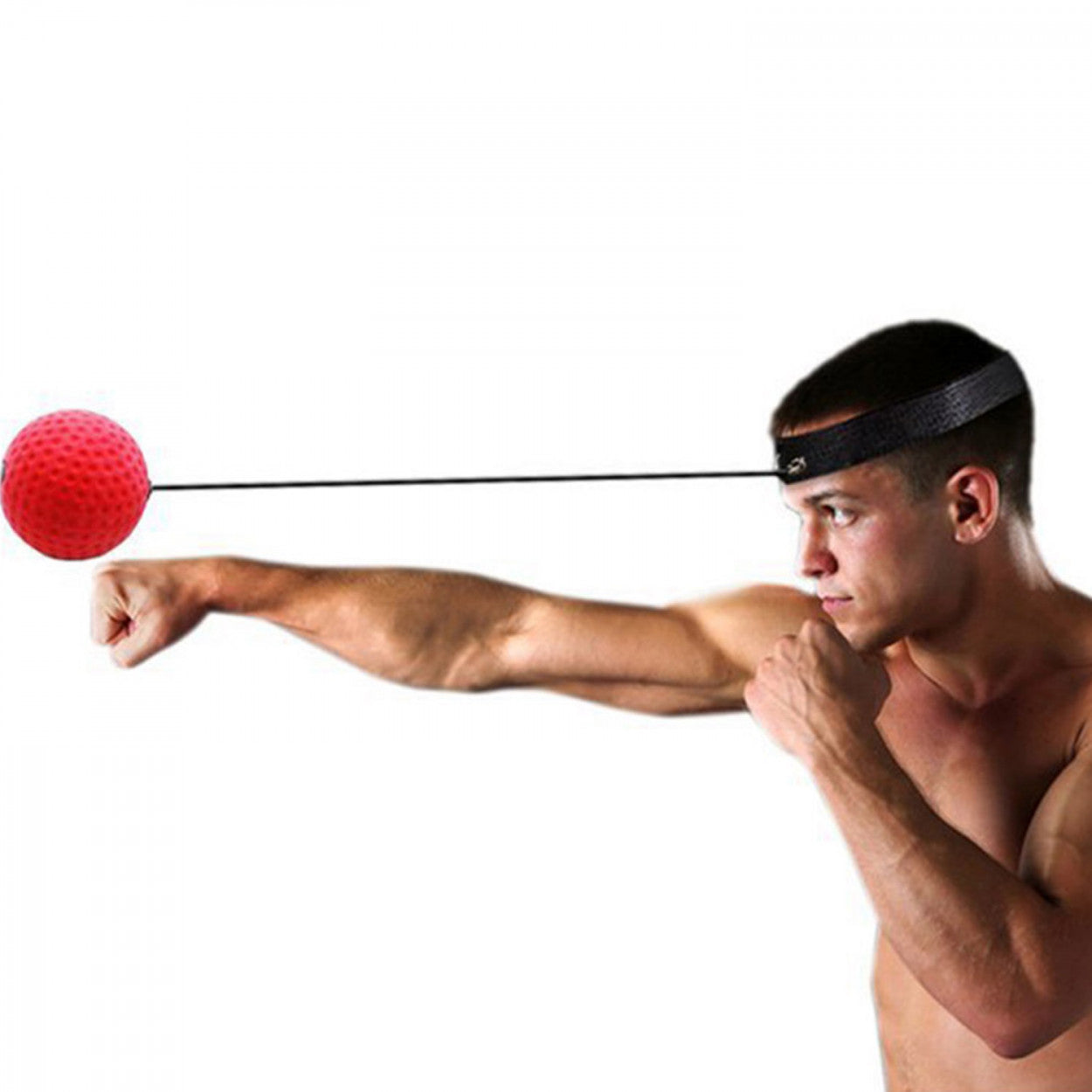 Boxing REFLEX BALL Head Band