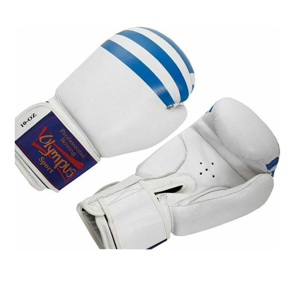 Boxing Gloves Leather 10oz Greek Flag.